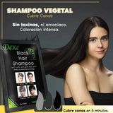 Caja de 10 - Shampoo Cubre Canas ORIGINAL